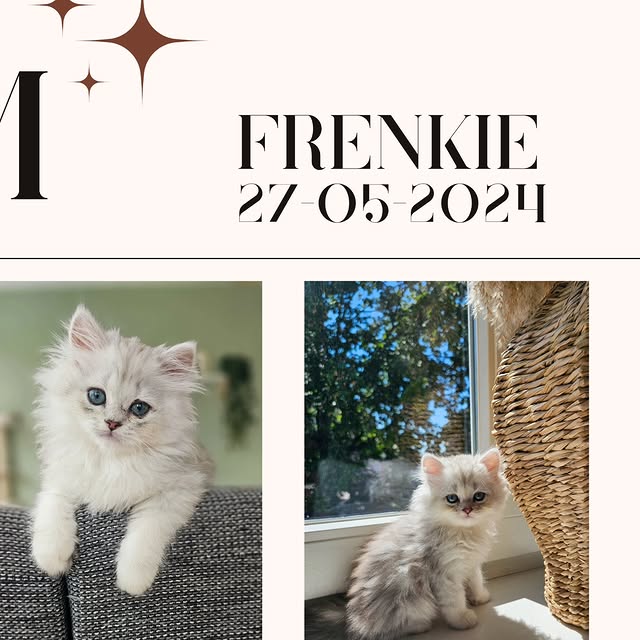 Post by ollie.frenkie