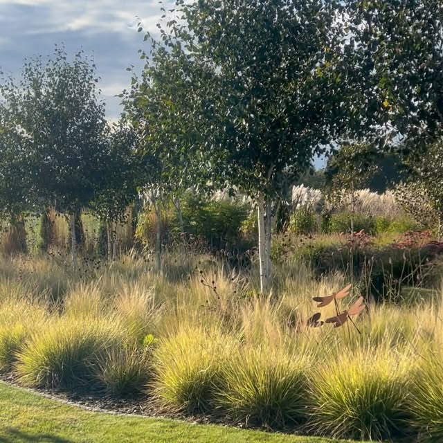 Post by szczypiorkatarzyna