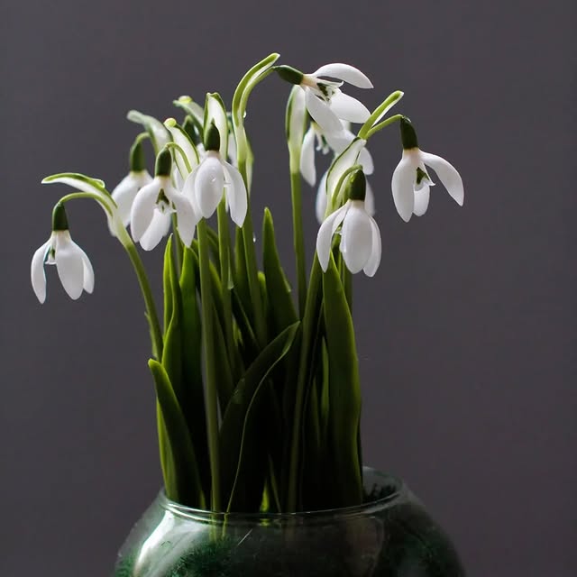 Post by marinagolovina21