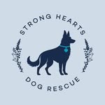 Strong Hearts Dog Rescue's profile picture