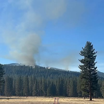 Post by caughtthefirebug