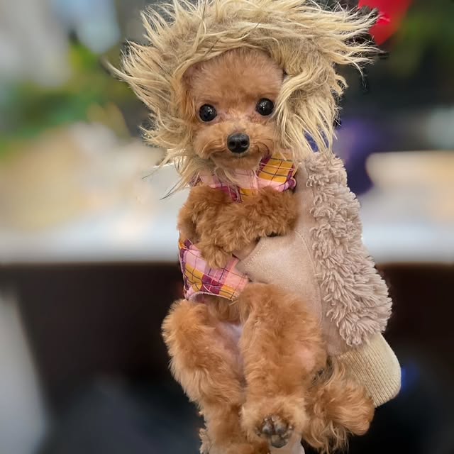 Post by natsukiikeda624