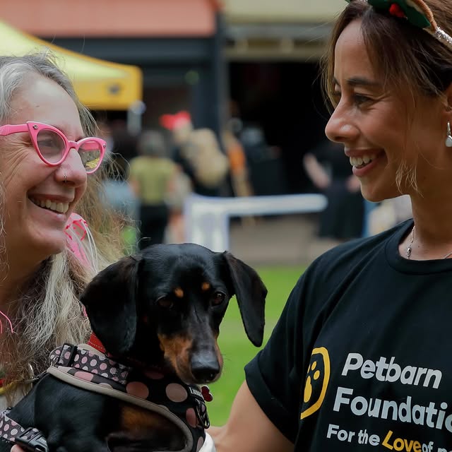 Post by greencrossvets