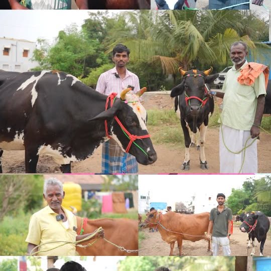 Post by farmingbusiness2020