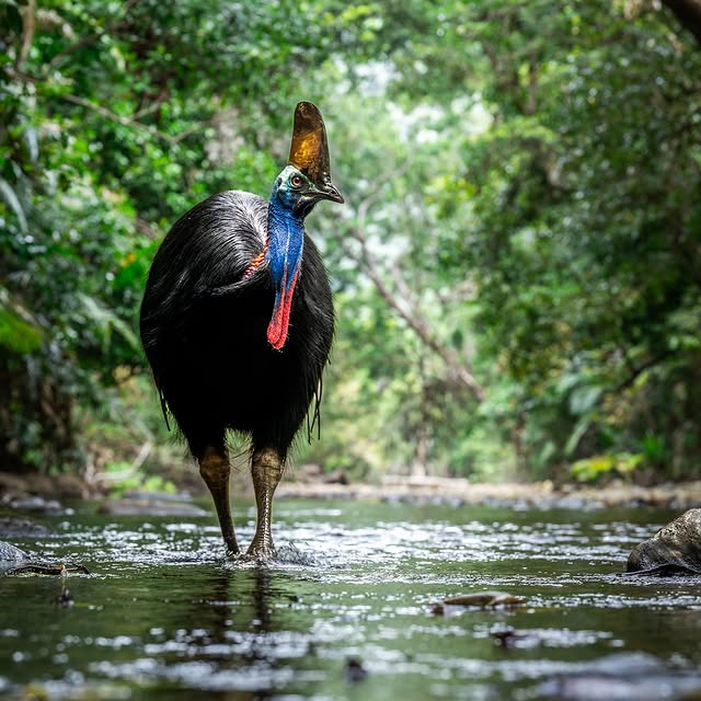 Post by jakewiltonphoto