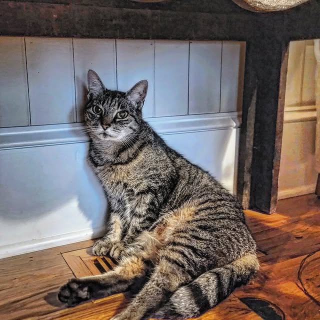 Post by fast_eddies_wild_hopper