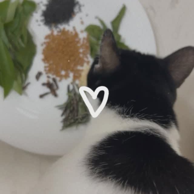 Post by bz_timelesscharm