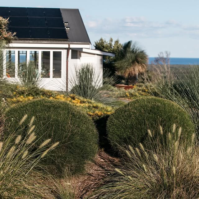 Post by guidetobettergardens