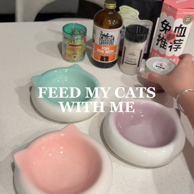 Post by simple.kitties