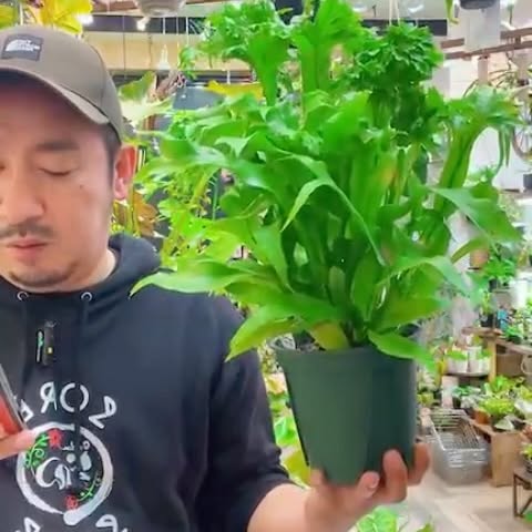 Post by garden_en2022