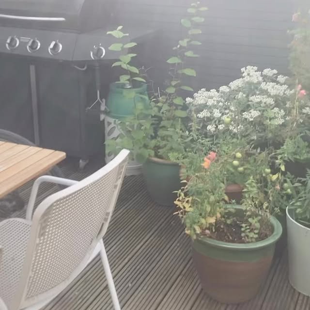 Post by charlies_blooms