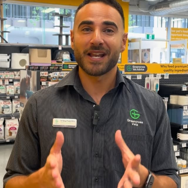 Post by greencrossvets