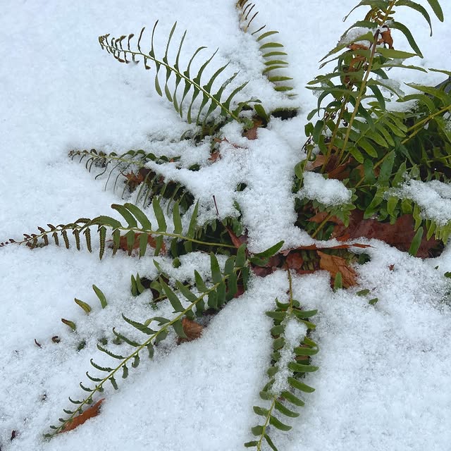 Post by mtcubacenter