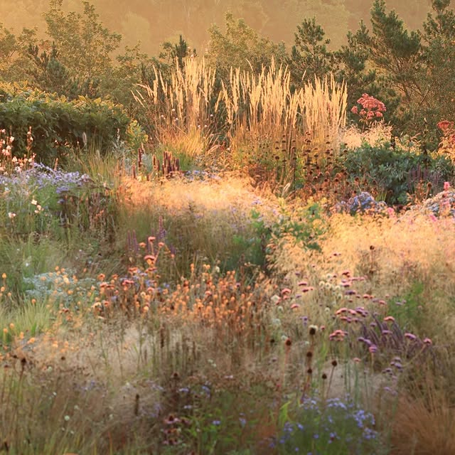 Post by vill_hageglede