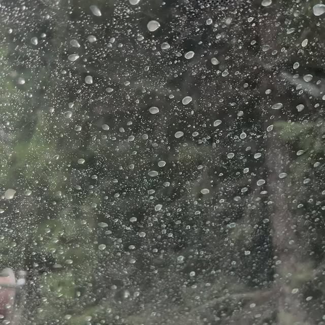 Post by redding_hotshots