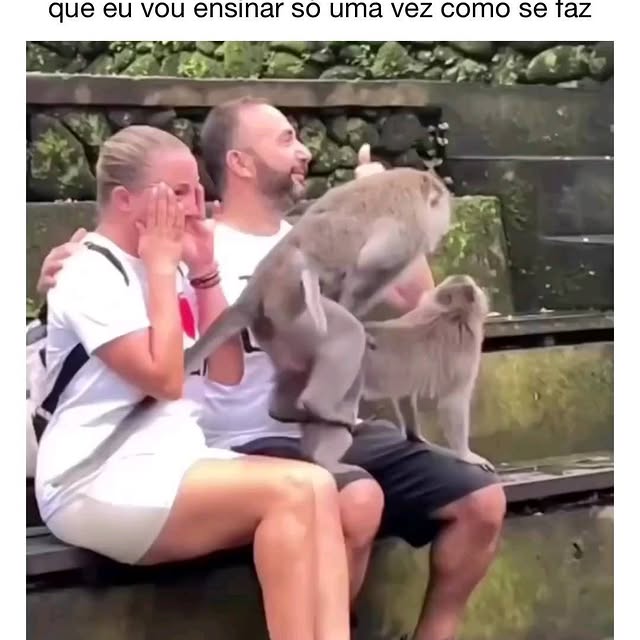 Post by vireiadultoo