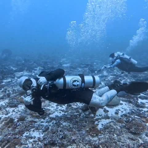 Post by kingkongdivingsg