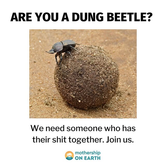 Post by mothershiponearth