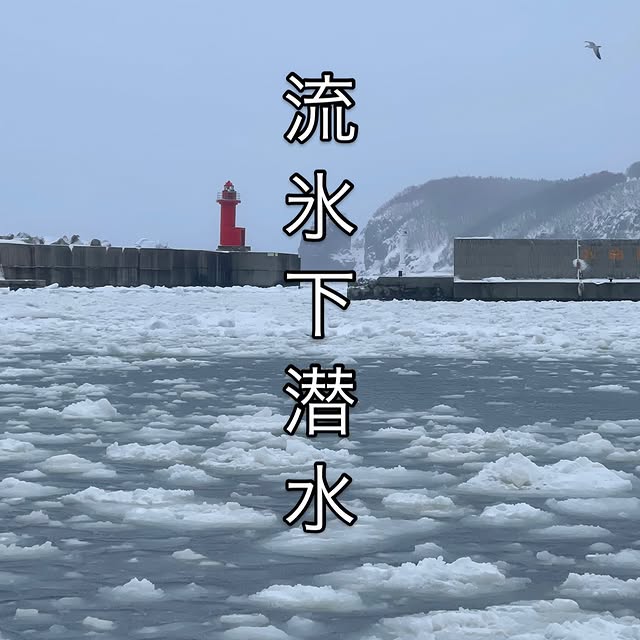 Post by shota_gorillahouse