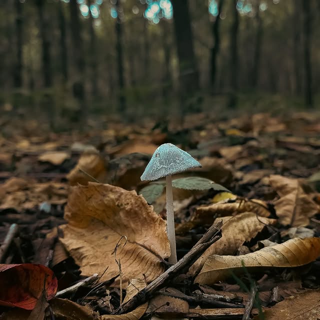 Post by our_country_life_photography