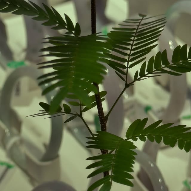 Post by hengjiu_jewellery131