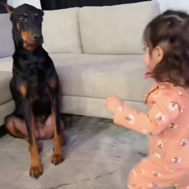 Post by zueirapetsoficial