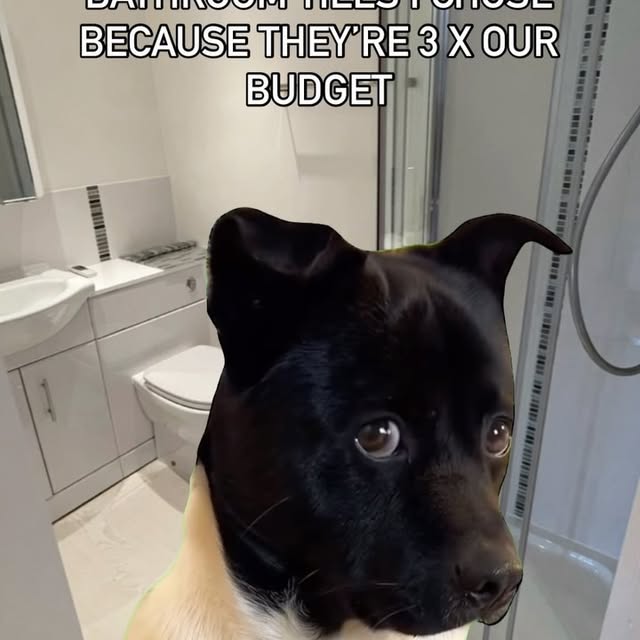 Post by renovateno.7