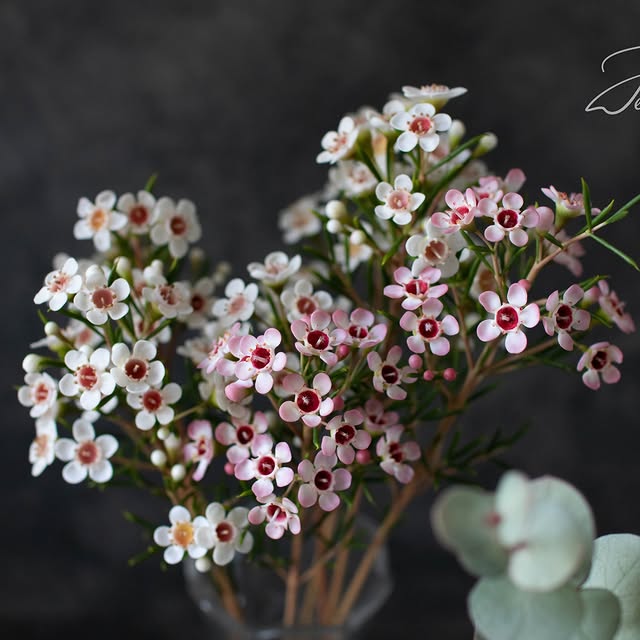 Post by natalia_jelonkina