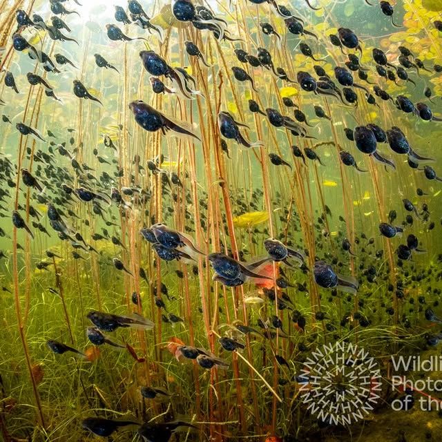 Post by shanegrossphoto