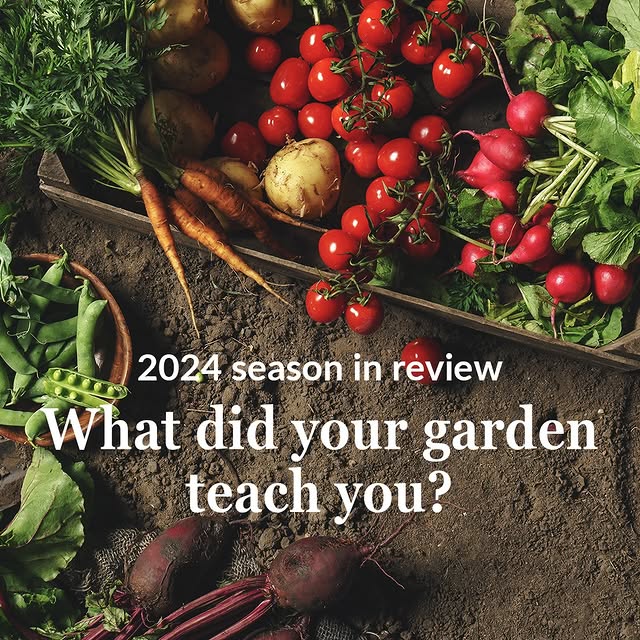 Post by ferrymorseseed