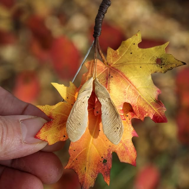 Post by brooch_tatianapopova