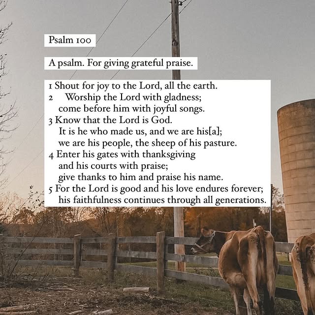 Post by homesteadersofamerica