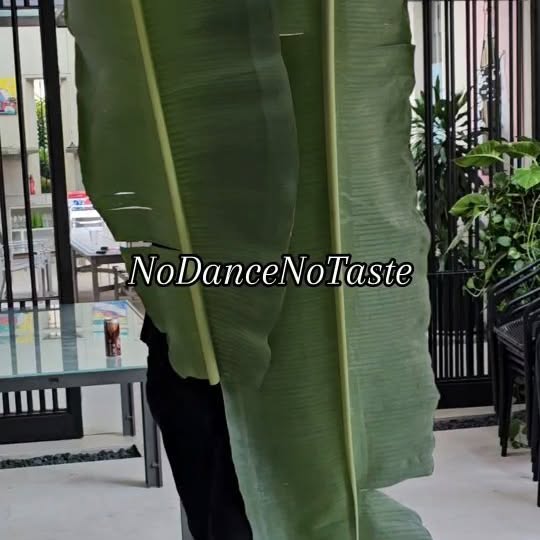 Post by noburnnotaste