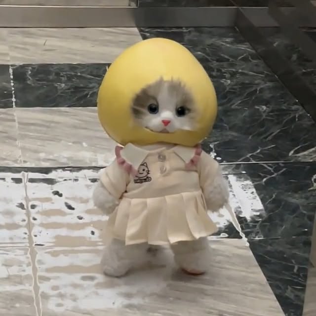 Post by landyliu0610