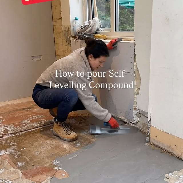 Post by thefaffingnest