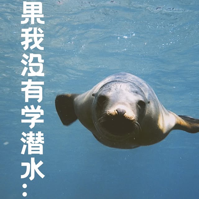 Post by scubadivetrip