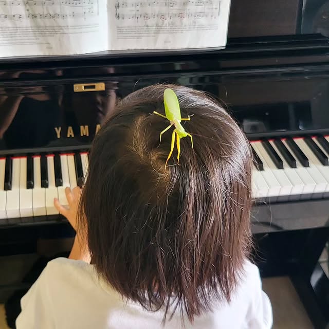 Post by huntingmamasg