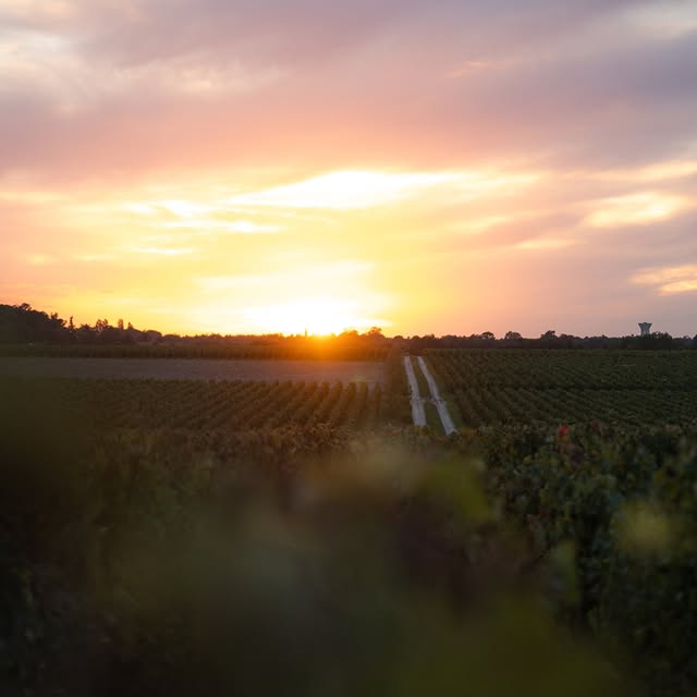 Post by chateau_lafonrochet