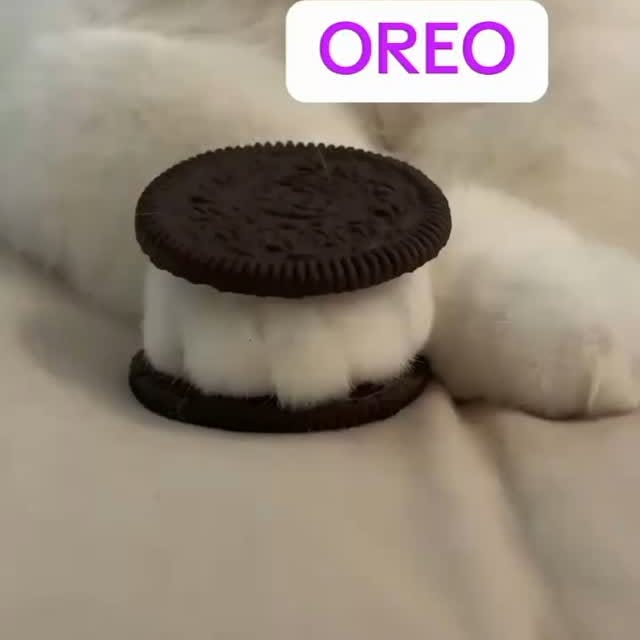 Post by kitty_mittymeow