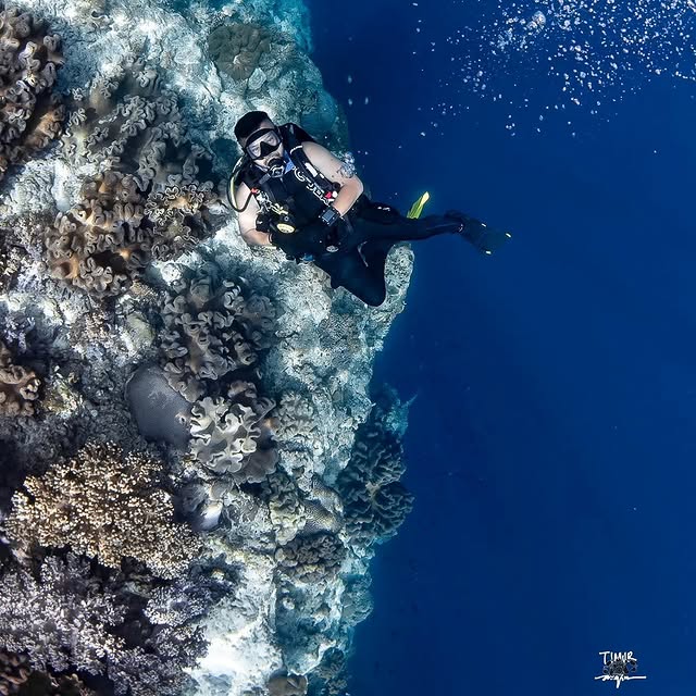 Post by scubaproasia