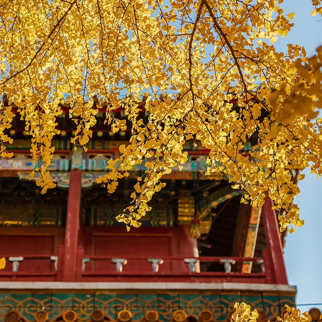 Post by mo_wangfujing