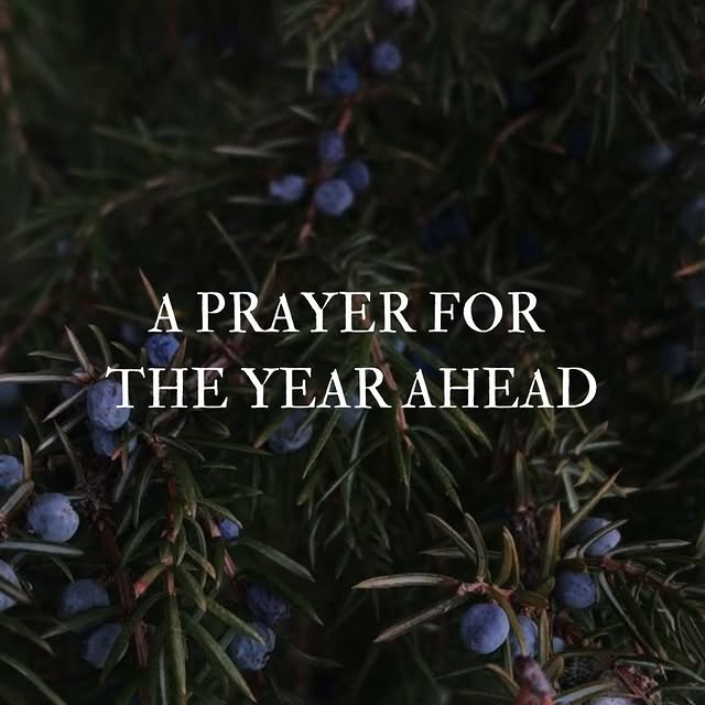 Post by shamansmarket