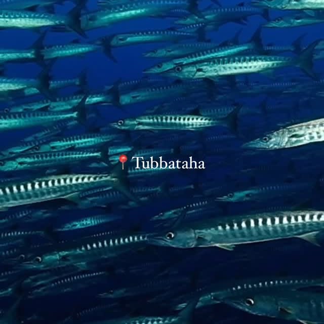 Post by julia.waterchild