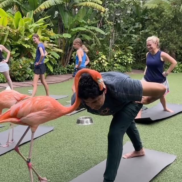 Post by yogadailypractice