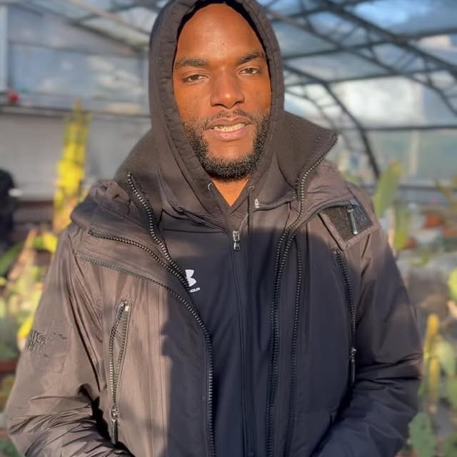 Post by faronalexpaul