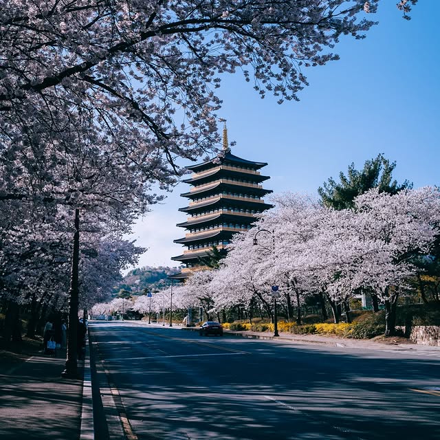 Post by summersnow_traveler