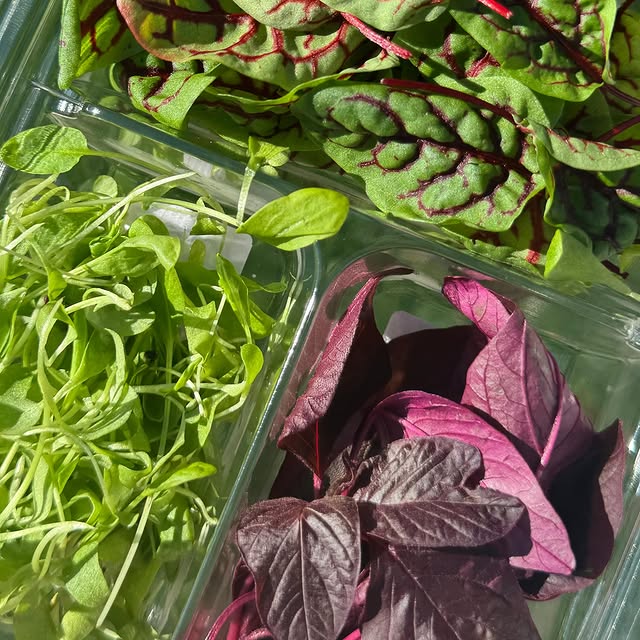 Post by brickstreetfarms