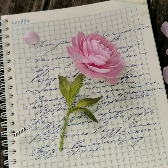 Post by brooch_tatianapopova