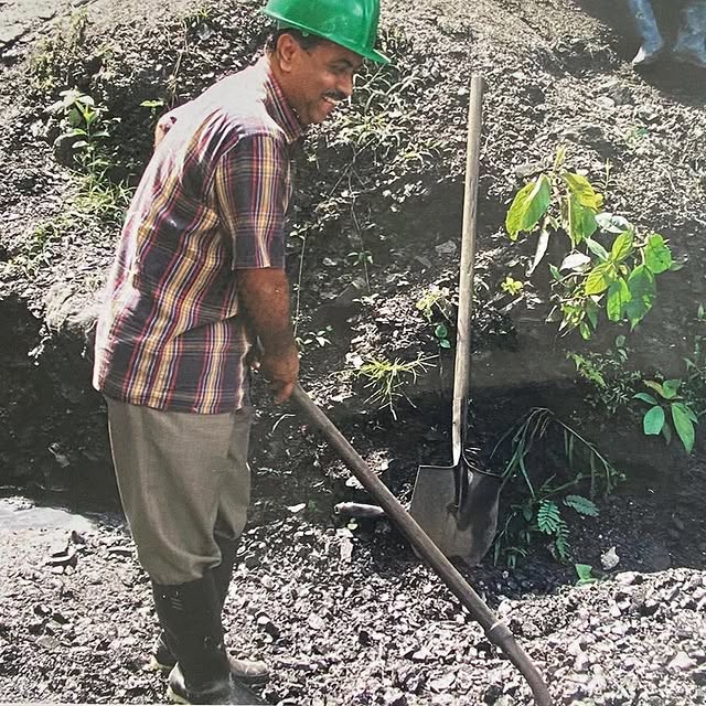 Post by brightgreenstones