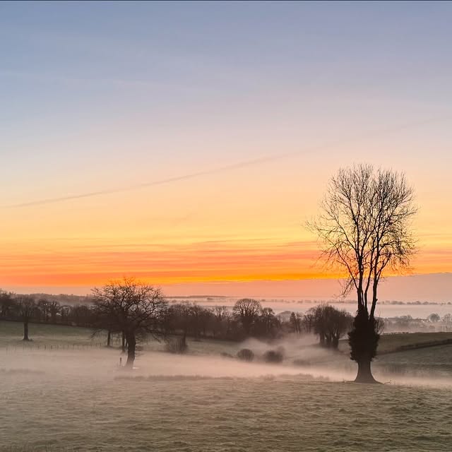 Post by philippe_caen